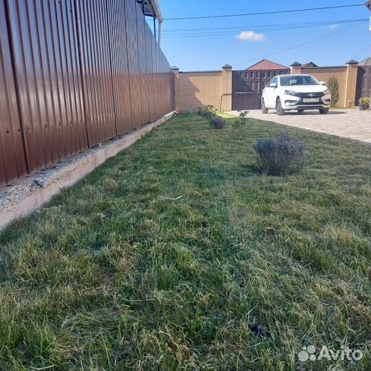 Покос травы триммером