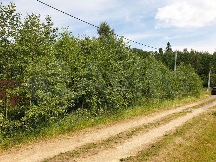 Участок 12 сот. (СНТ, ДНП)