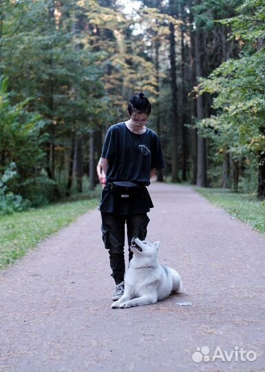 Кинолог, дрессировка собак