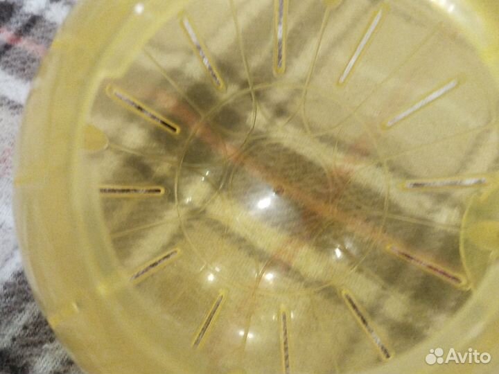 Шар для прогулок мелких грызунов