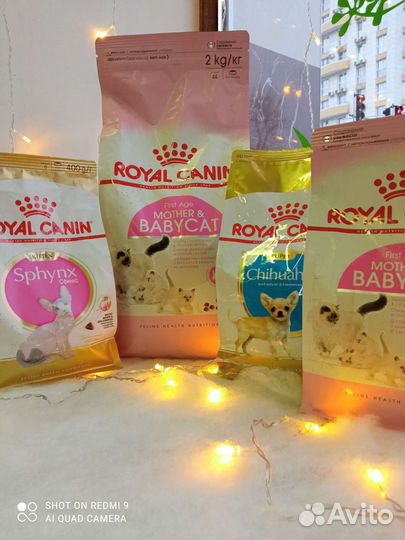 Royal Canin и Purina по закупке