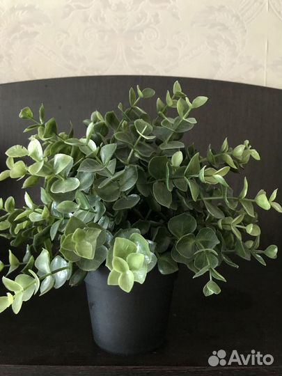 Искусственные цветы IKEA