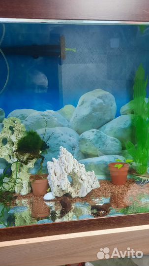 Аквариум
