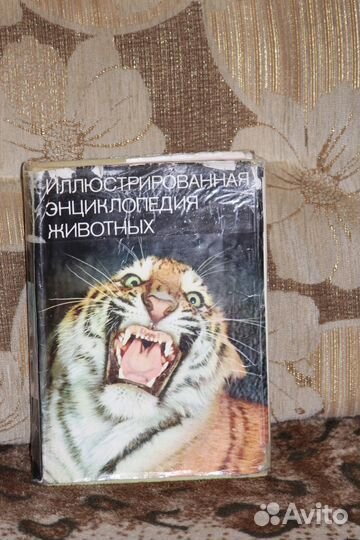 Иллюстрированная энциклопедия животных