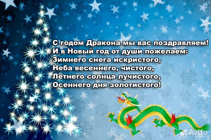 Дед Мороз и Снегурочка