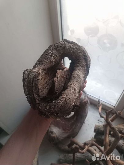 Коряги для террариума