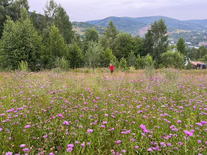 Участок 15 сот. (ИЖС)