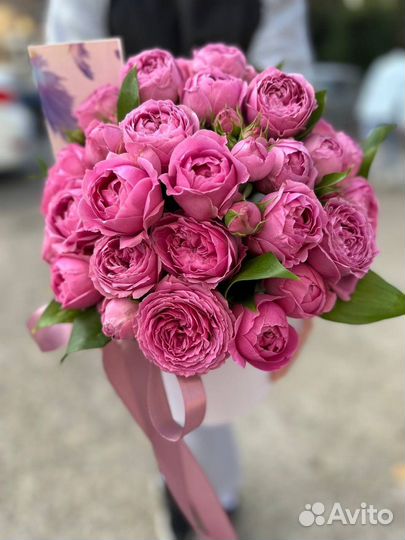 Праздники мероприятия