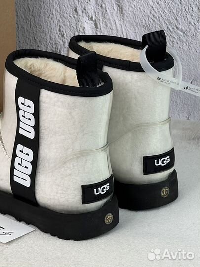 Сапоги женские Ugg Classic Clear Mini