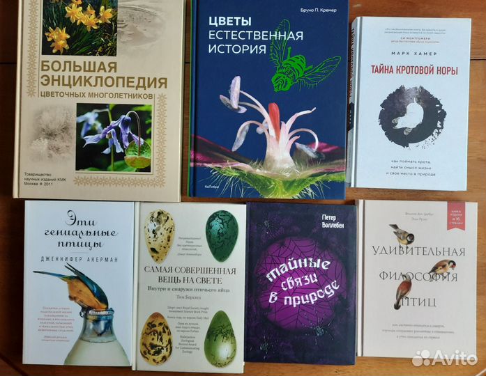 Книги Собаки Лошади Арктика Птицы Цветы Космос