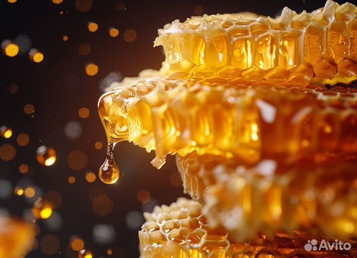 Опт мед натуральный из Алтая от 16 кг