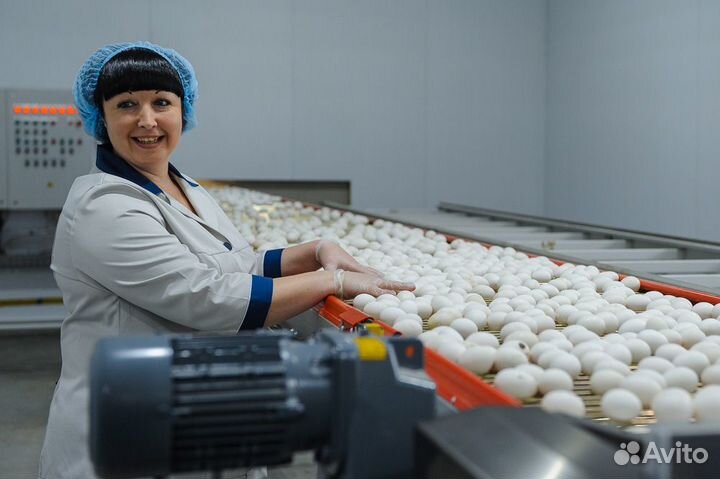Работа в производстве птицы Челябинск