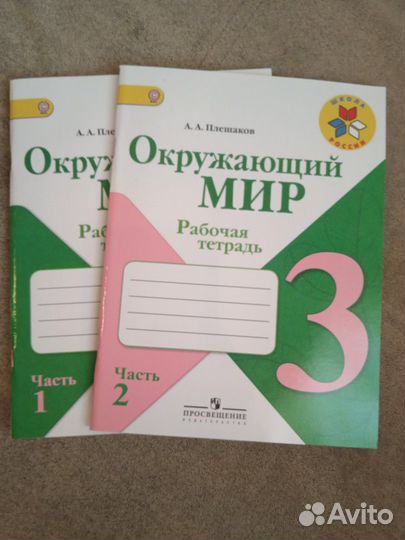 Рабочая тетрадь по Окружающему миру 3 класс