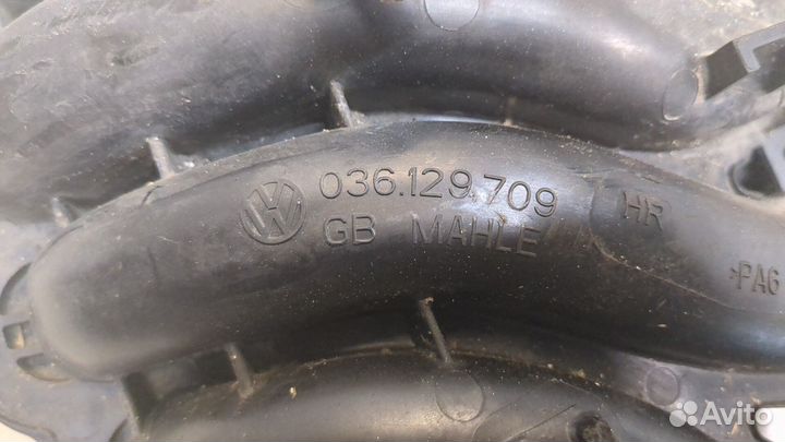 Коллектор впускной Seat Ibiza 4, 2009