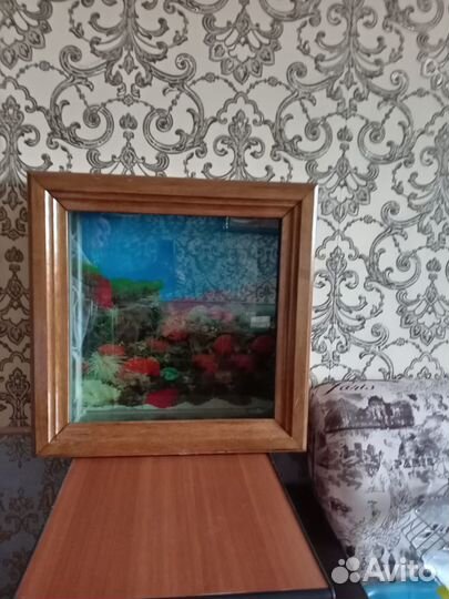 Аквариум картина