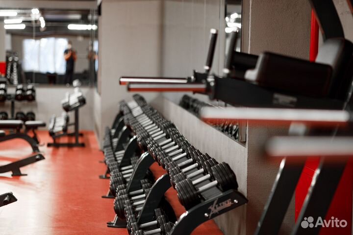 Комплект тренажеров для фитнес клуба 150 единиц
