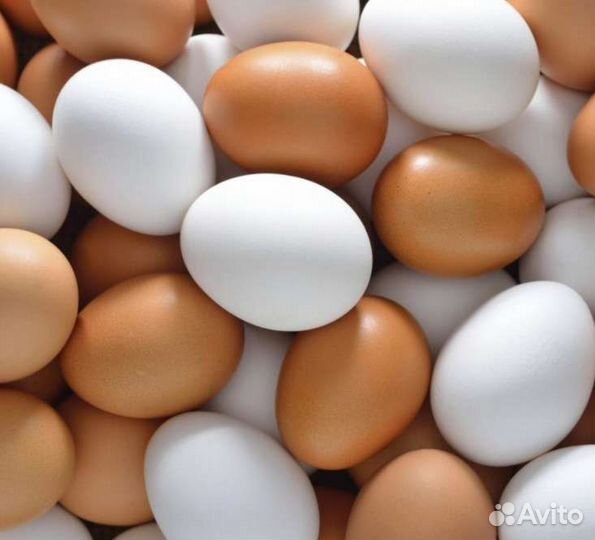 Домашние куриные яйца