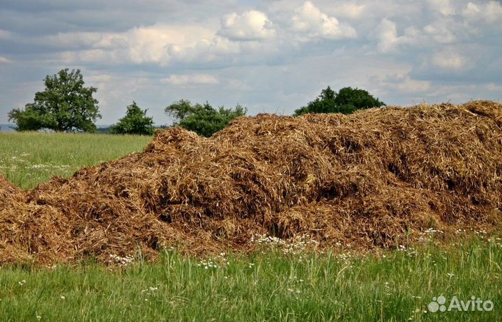 Навоз для удобрения почвы с доставкой