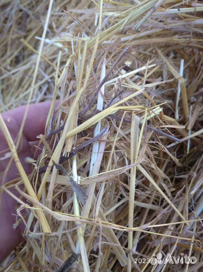 Солома в мешках