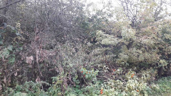 Дача 20 м² на участке 6 сот.