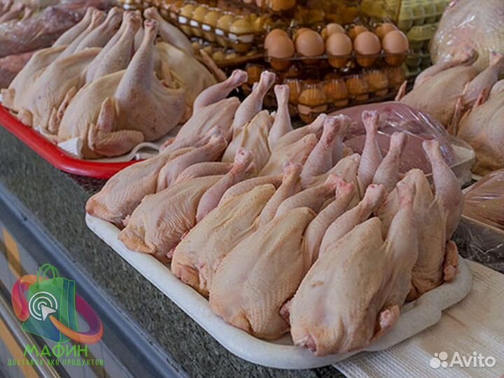 Куры домашние