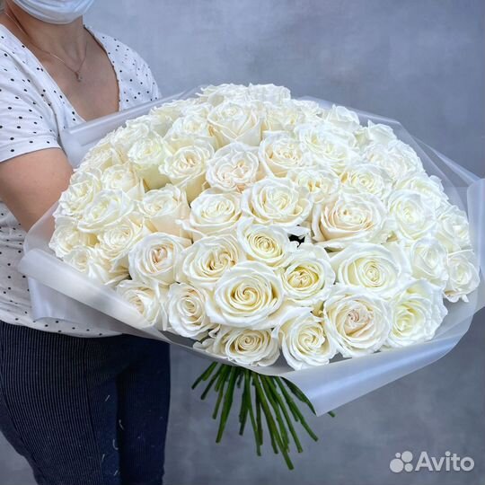 Цветы Розы 51-101