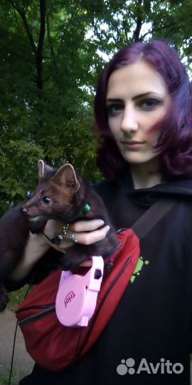 Специалист по содержанию экзотических животных