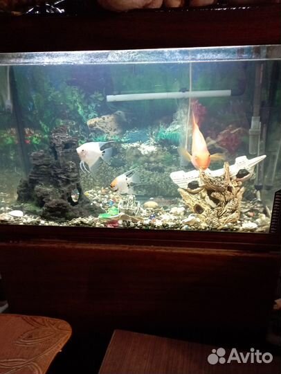 Украшение для аквариума