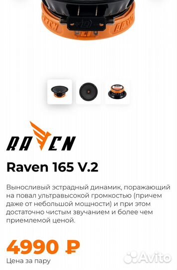 Dl audio raven 165 v.2