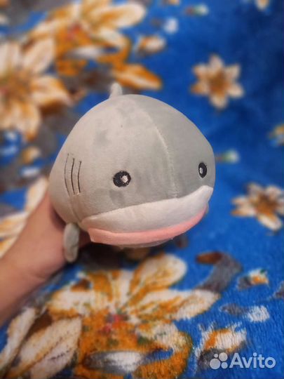 Мягкая игрушка кот-акула