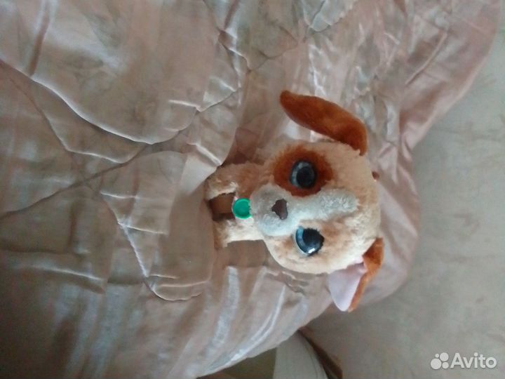 Мягкие игрушки собак