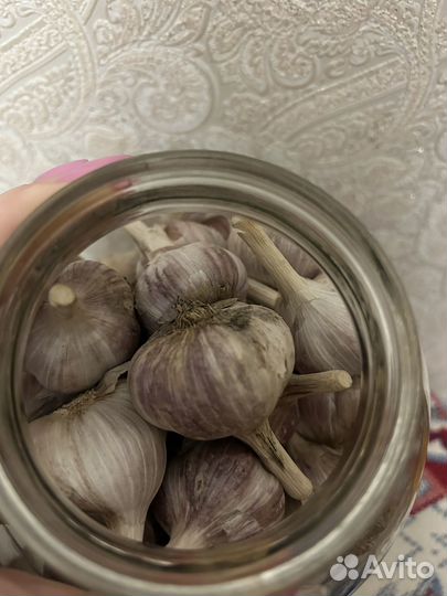 Продам чеснок