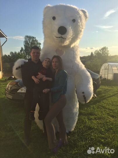 Поздравление от Белого Мишки