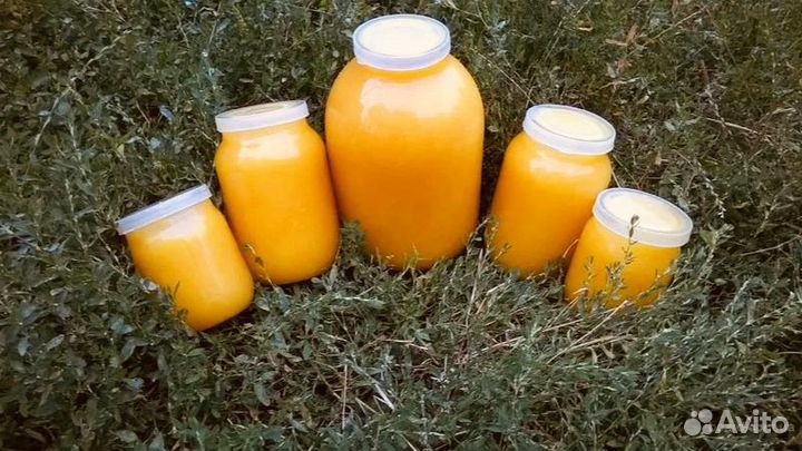 Мëд лесной с предгорья Алтая