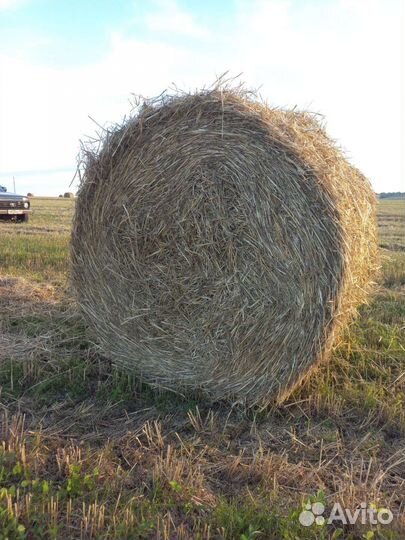 Солома в тюках с доставкой
