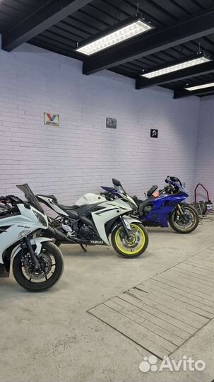 Yamaha R3