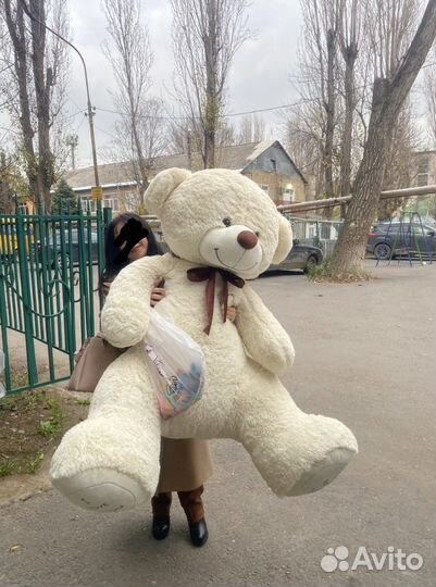 Плюшевый медведь