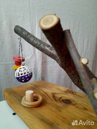 Игровая площадка для попугаев