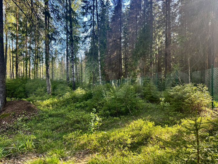 Участок 22,5 сот. (СНТ, ДНП)