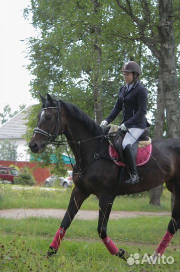 Продам комплект для лошади