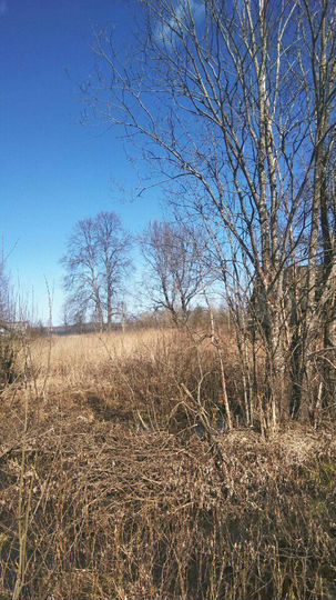 Участок 14 сот. (ИЖС)