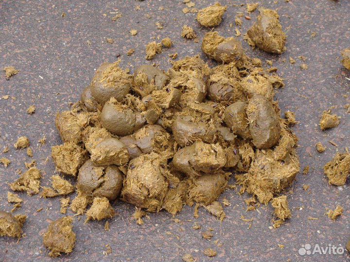 Навоз коровий, конский и птичий