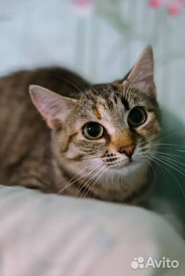 Малышка Леона