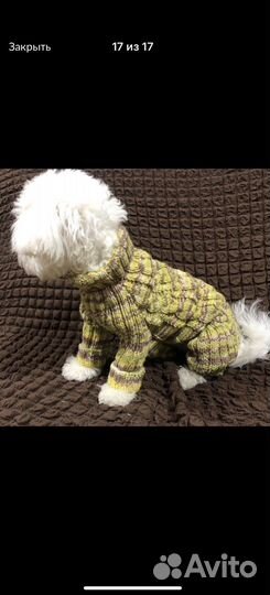 Одежда для собак мелких пород и кошек