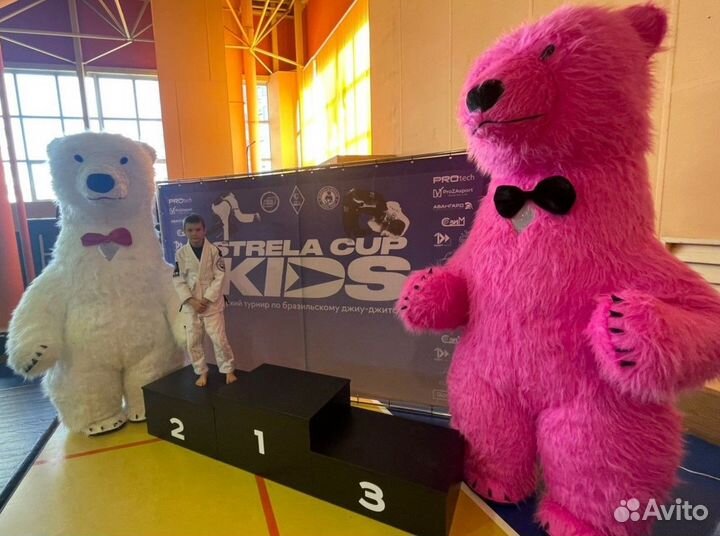 Ростовая кукла Костюм аниматора Розовый медведь