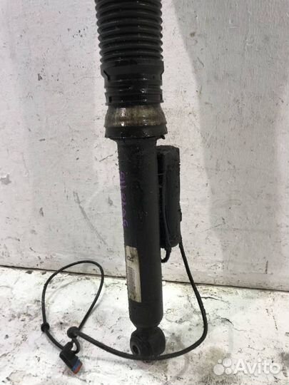 Пневмоамортизатор задний правый