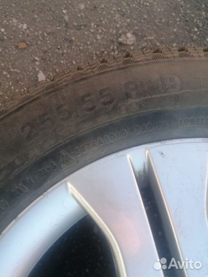 Continental Contact Star R19