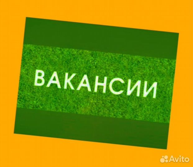 Оператор на производство Выплаты еженедельно Без опыта М/Ж