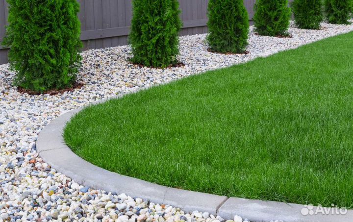 Рулонный газон с доставкой