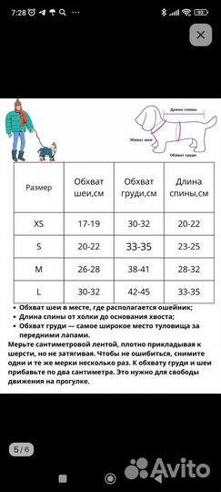 Одежда для собак мелких пород девочка